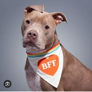 BFF Dog Bandana - White and Orange rainbow pride
